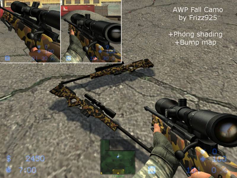AWP Fall Camo